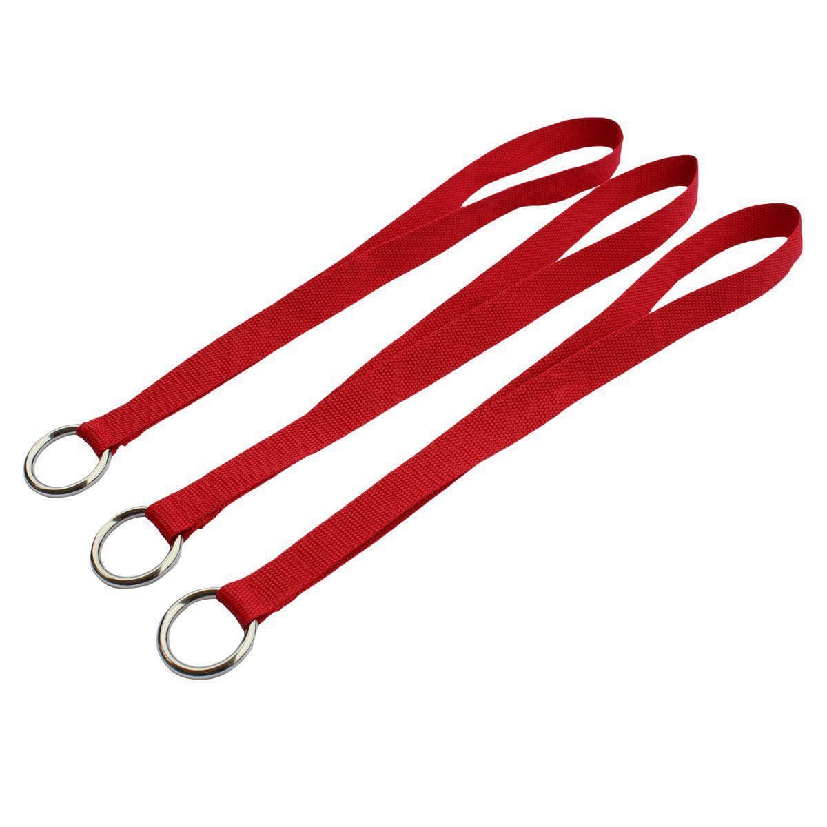 Long Loop Door Hinge Anchor  Set of 3. Includes ring for clips. Fits around bars, small trees, poles and more.